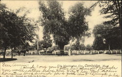 The Washington Elm Postcard