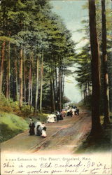 Entrance To The Pines Groveland, MA Postcard Postcard