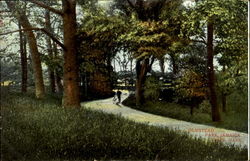 Olmstead Park Jamaica Plain, MA Postcard Postcard