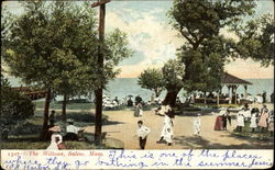 The Willows Salem, MA Postcard Postcard