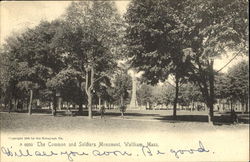 The Common And Soldiers Monument Postcard