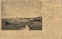 Beach And Dunes Postcard