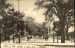 Oglethorpe Avenue Postcard