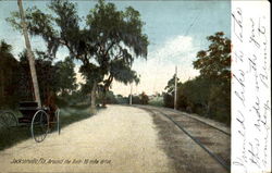 Around The Bell Jacksonville, FL Postcard Postcard