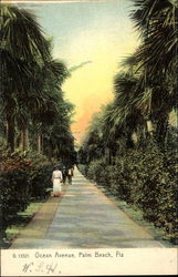 Ocean Avenue Postcard