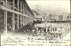 Steel Pier And Beach Postcard