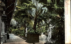 Interior View Of Horticultural Hall, Fairmount Park Postcard