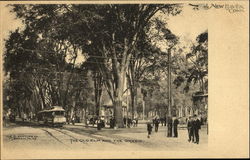 Stock #118959 Thumbnail