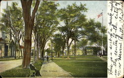 The Green New Haven, CT Postcard Postcard