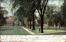 Yale Campus New Haven, CT Postcard Postcard