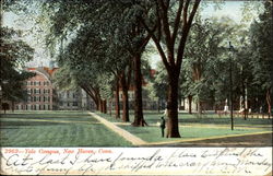 Yale Campus Postcard