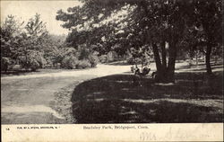 Beadsley Park Postcard