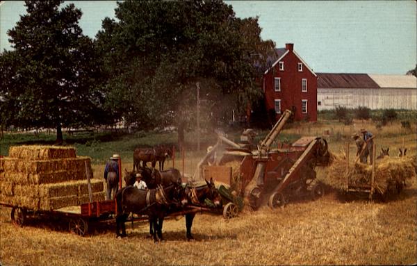 Amish Threshing Scene Pennsylvania