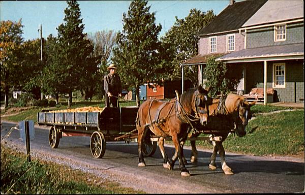 Pennsylvania Dutch Country Amish