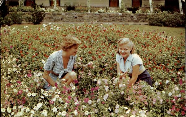 Among The Flower Beds At Unity House Forest Park Pennsylvania