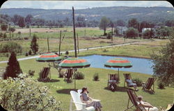 The Vindobona Postcard