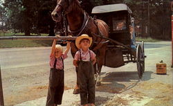 Greetings - From "The Amish Country" Postcard
