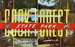 Cook Forest State Park Cooksburg, PA Postcard Postcard