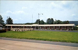 Shelly Motel Dillsburg, PA Postcard Postcard