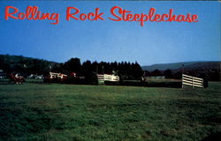 Rolling Rock Steeplechase Postcard