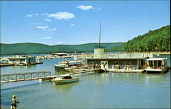 Wolf Run Marina, Kinzua Dam Warren, PA Postcard Postcard