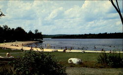 Tobyhanna State Park Pennsylvania Postcard Postcard