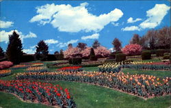 Hershey Rose Gardens And Arboretum Pennsylvania Postcard Postcard