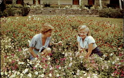 Among The Flower Beds At Unity House Postcard