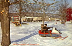 Snow Mobiling At Fernwood Postcard