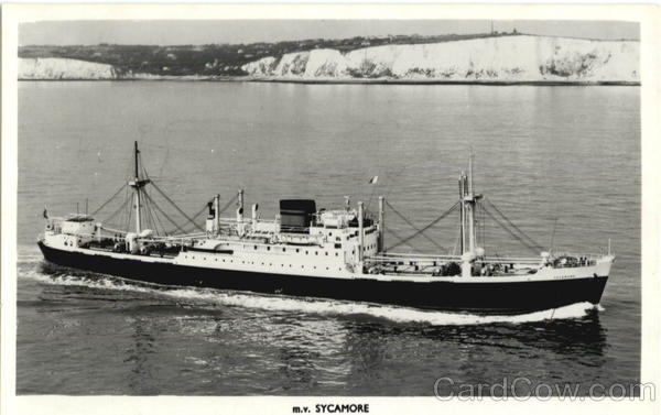 M.V. Sycamore Boats, Ships