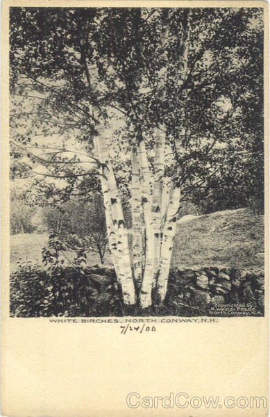 White Birches North Conway New Hampshire