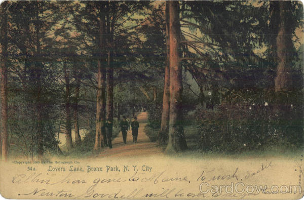 Lovers Lane, Bronx Park New York