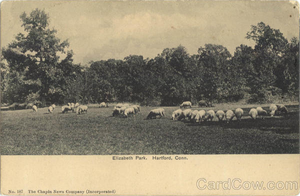 Elizabeth Park Hartford Connecticut