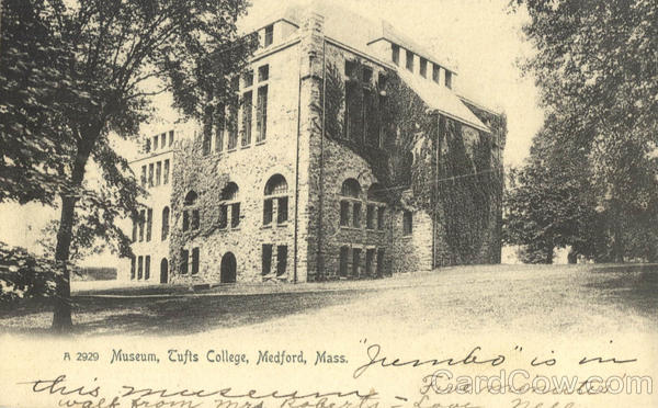 Museum, Tufts College Medford Massachusetts
