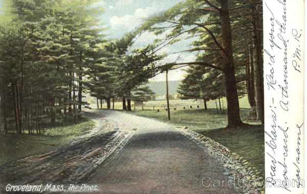 The Pines Groveland Massachusetts
