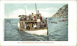 Glass Bottom Boat, Avalon Postcard