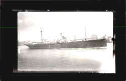 E. L. Almravte Postcard