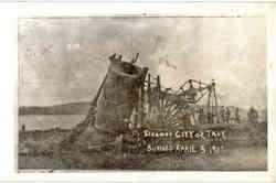 Ship Wreck of Steamer City of Troy 1907 Postcard