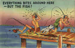 Fishing: Everything Bites Around here - But the Fish! Postcard