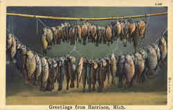 Fishing: Greetings from Harrison Michigan Postcard Postcard