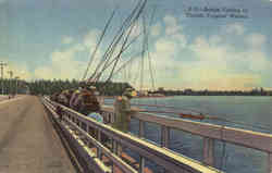 Fishing: Bridge-Fishing in Florida Tropical Waters Postcard Postcard