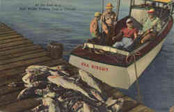 Fishing: At the End of a Salt Water Fishing Trip in Florida Postcard
