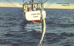 Fishing: Thrilling Catch Off Florida Postcard