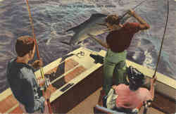 Fishing: Fishing in the Florida Gulf Stream Postcard