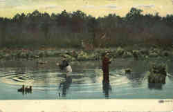 Fishing: Postcard