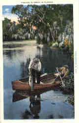 Fishing: Fishing is Great in Florida Postcard
