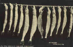 Fishing: All you need is a line, Rod and a Hook Postcard