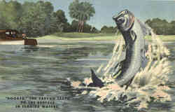 Fishing: Hooked, The Tarpon Leaps to the surface in Florida Waters Postcard