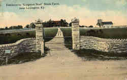 Entrance to Kingston Stud Stock Farm Lexington, KY Postcard Postcard