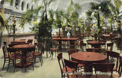 Schutz Palm Garden Postcard